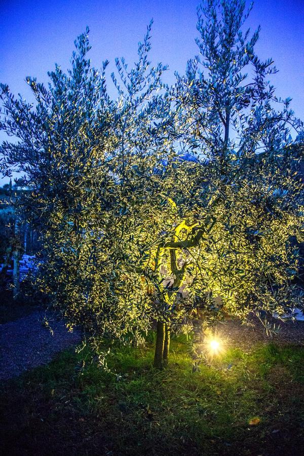 Agriturismo I Roseti Villa Montepulciano Stazione Екстериор снимка