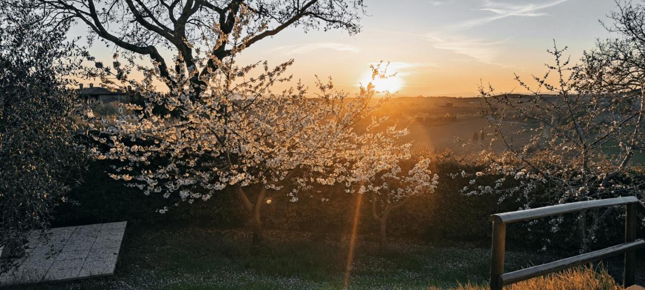 Agriturismo I Roseti Villa Montepulciano Stazione Екстериор снимка