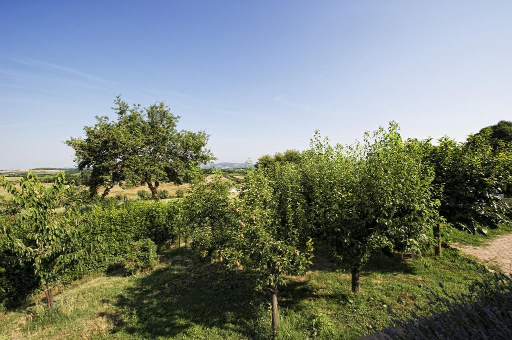 Agriturismo I Roseti Villa Montepulciano Stazione Стая снимка