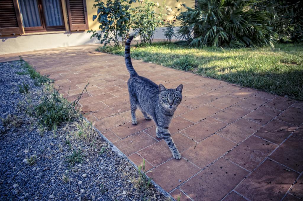 Agriturismo I Roseti Villa Montepulciano Stazione Екстериор снимка