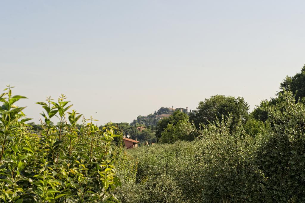 Agriturismo I Roseti Villa Montepulciano Stazione Стая снимка