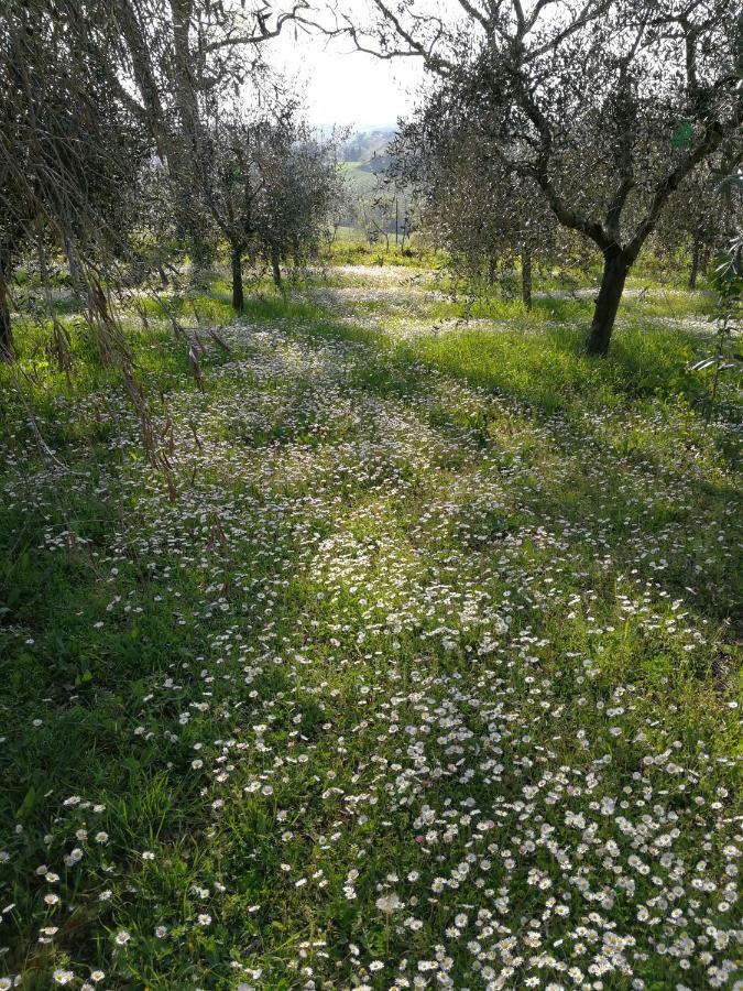 Agriturismo I Roseti Villa Montepulciano Stazione Екстериор снимка